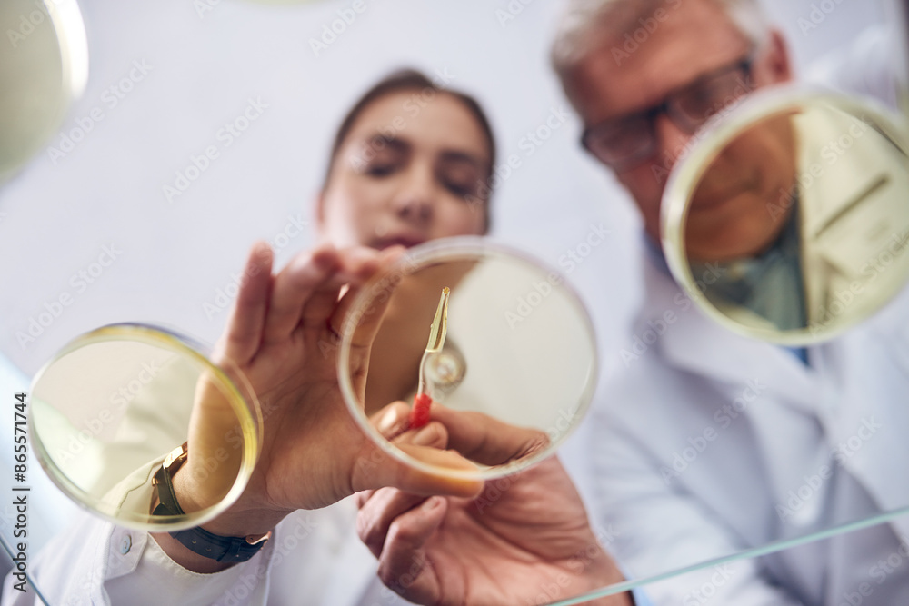Aufkleber sample, science and teamwork with people in laboratory from below for innovation or research. breakt