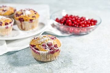 Homemade muffins baked with red currants and sprinkled with powdered sugar, fruity summer dessert...