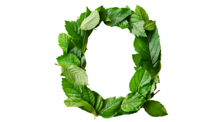 Letter Q Made with Leaves, PNG File, Transparent Background, Isolated on White