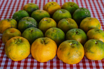 Organic tangerine (Citrus reticulata), on a red and white towel, with some stains. The fruit is also known as ponca, tangerine, morgote, bergamot or mimosa, a fruit with a strong