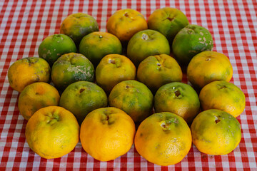 Organic tangerine (Citrus reticulata), on a red and white towel, with some stains. The fruit is also known as ponca, tangerine, morgote, bergamot or mimosa, a fruit with a strong