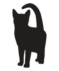 vector isolated silhouette cat set