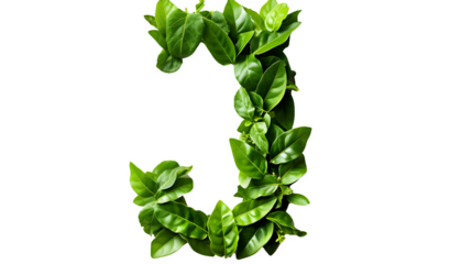 Letter J Made with Leaves, PNG File, Transparent Background, Isolated on White