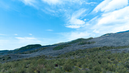 Mount Etna drone view. Sicily. Grass on Mount Etna