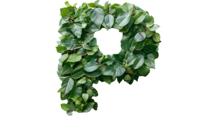 Letter P Made with Leaves, PNG File, Transparent Background, Isolated on White
