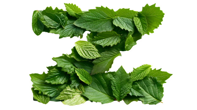 Letter Z Made with Leaves, PNG File, Transparent Background, Isolated on White