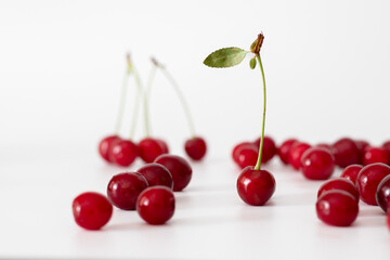 Fresh cherry on white background