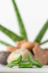 Aloe vera with pebble stone on white background, background for design and decoration