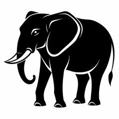 elephant cartoon illustration