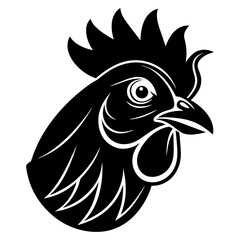 rooster isolated