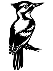 Vector illustration of a woodpecker on a branch
