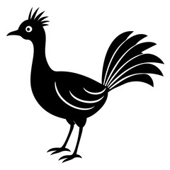 illustration of a bird