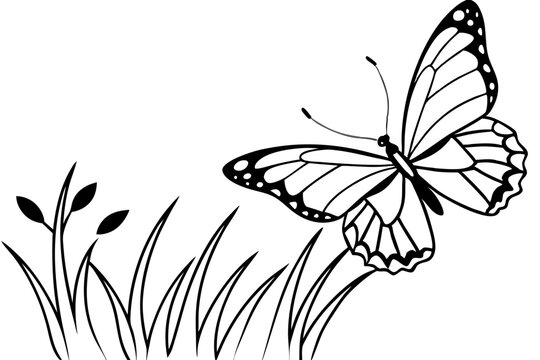 recommend clip art: butterfly flying line art vector illustration
