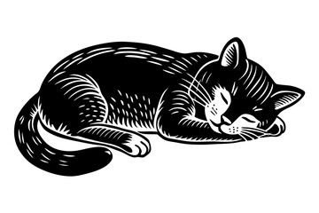 cat sleeping vector illustration