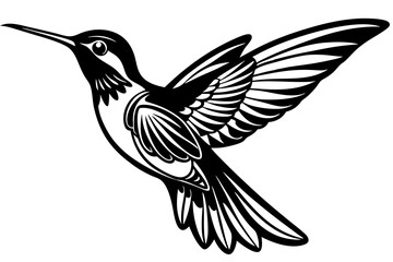 colibri black silhouette vector illustration