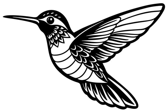 recommend clip art: colibri black silhouette vector illustration