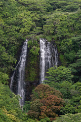 Opaekaa Falls Vista Parking,  ʻŌpaekaʻa Falls is a waterfall located on the ʻŌpaekaʻa Stream in Wailua River State Park on the eastern side of the Hawaiian island of Kauai. Hawaii, basalt 
