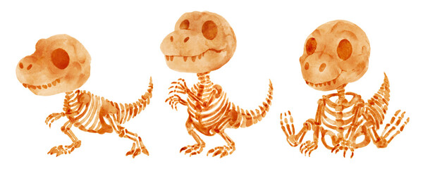 Tyrannosaurus rex skeleton . Hand drawn watercolor paint design . Cute cartoon characters . Set 5 . Illustration . © stockdevil