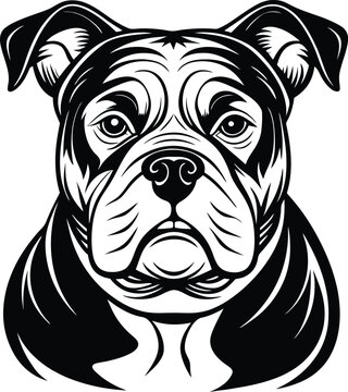 recommend clip art: Adobe Illustrator Artwork