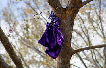 deflated purple balloon in tree