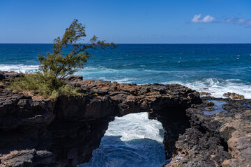  Lava rock Sea Arch, Makahuena Light, Koloa, Kauai South Shore，Hawaii. Koloa Volcanics， Casuarina equisetifolia，coastal she-oak, horsetail she-oak, ironwood, beach sheoak, beach casuarina or whistling