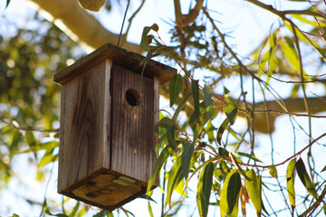 wooden bird house feeder