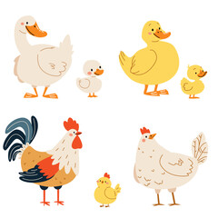 Set of flat vector illustrations on white background. Domestic birds with their children. Goose duck hen and rooster duckling chick chicken. Vector illustration