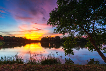 Obraz premium road landscape lake views and the reservoir the forest summer with evening blue dramatic sunset sky nature background.