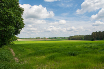 Roztocze, pola wokół Narola, Roztocze, fields around Narol