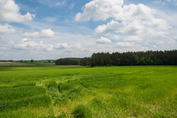 Roztocze, pola wokół Narola, Roztocze, fields around Narol