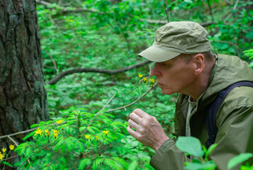 Fototapeta premium Male enjoying the smell of flowers in nature. Senior man in a meadow, tranquility among herbs. Beautiful blooms in the forest, unity with the wild. peace, vulnerability, and.