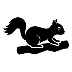 squirrel on a branch