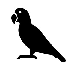 silhouette of a bird