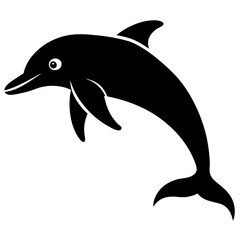 dolphin isolated on white background