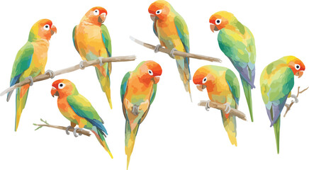 parrot watercolor clipart