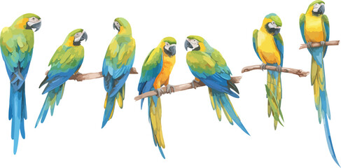 parrot watercolor clipart