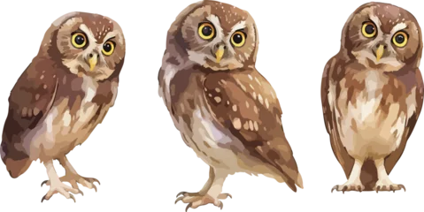 Selbstklebende Fototapeten Eulen owl watercolor clipart  © dian's