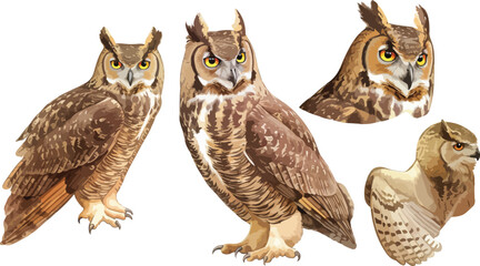 owl watercolor clipart