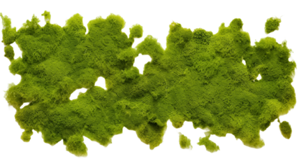 Green moss covered wall surface isolated on transparent png background.

