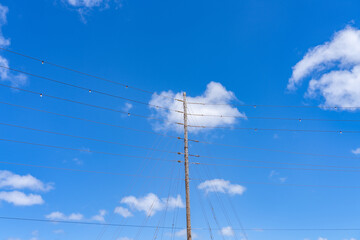 Obraz premium Electric wires and poles. Kauaʻi Coffee Company， Hawaii 