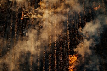 Aerial view of agriculture fields burning post harvest captured by drone