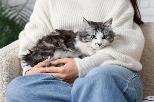 Young woman holding cute longhaired cat sitting on sofa at home