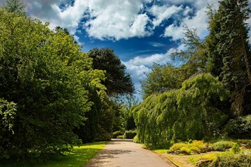 Serene pathway in a lush green park in Harrogate, North Yorkshire