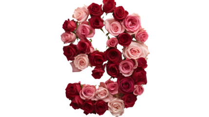 Digit 9 made with roses, PNG file, transparent background, isolated on white