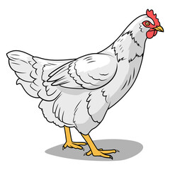 Hen learn birds educational game PNG illustration