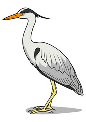 Heron learn birds educational game PNG illustration