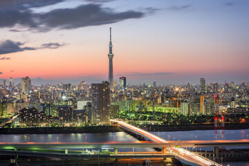 Tokyo, Japan Cityscape at Twilight