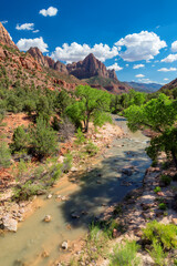 Beautiful view of Watchman mountain and the Virgin river in Zion National Park in Utah, USA	