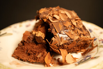 chocolate cake with chocolate