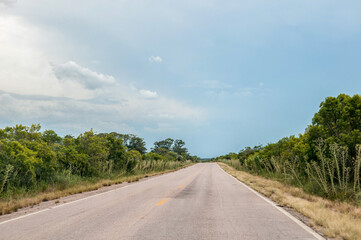 paved road passing through the forest in brazil